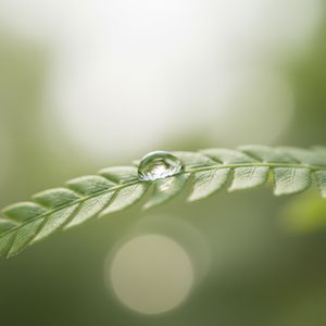 Vertrauen und Harmonie